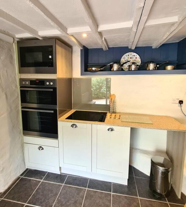 Mill Cottage Garden Annexe Newton Abbot Luaran gambar