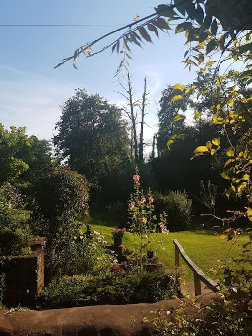 Mill Cottage Garden Annexe Newton Abbot Luaran gambar
