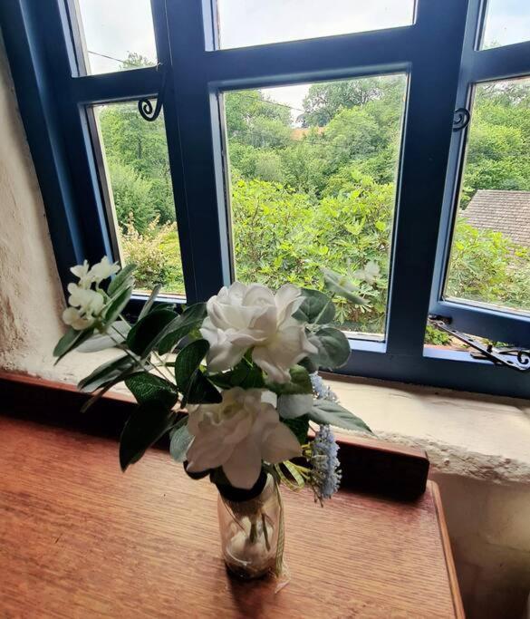 Mill Cottage Garden Annexe Newton Abbot Luaran gambar