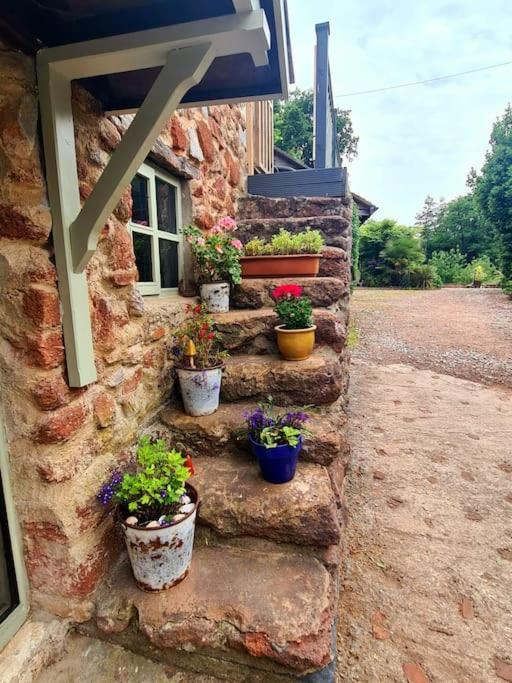 Mill Cottage Garden Annexe Newton Abbot Luaran gambar